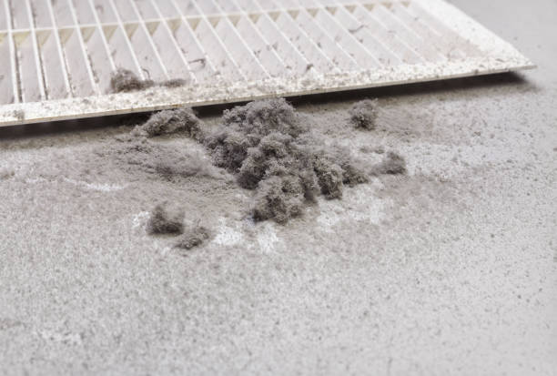 Best Duct Cleaning for Homes  in Lenoir City, TN