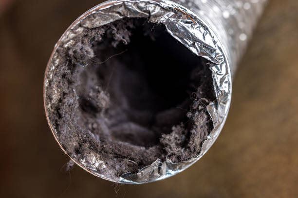 Best Affordable HVAC Duct Cleaning  in Lenoir City, TN