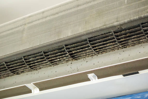 Best Best Air Duct Cleaning Near Me  in Lenoir City, TN