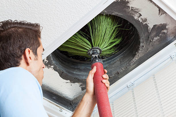 Best Air Vent Cleaning Services  in Lenoir City, TN